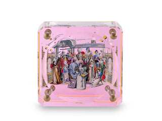 Shakespeare Pembe Pleksi Kase