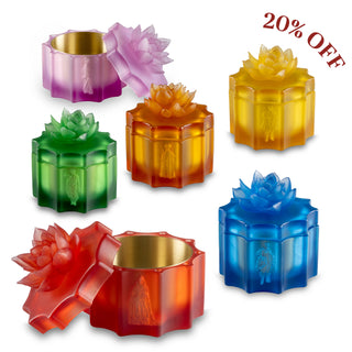 The Chromatic Court Amber 6'lı Pleksi Çerezlik Set