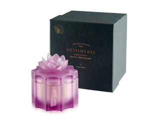 The Chromatic Court Lila Pleksi Çerezlik