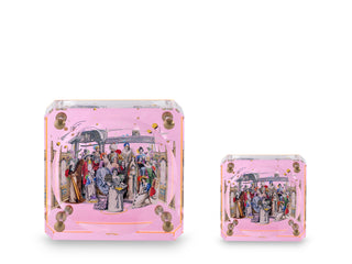 Shakespeare Pembe Pleksi Kase